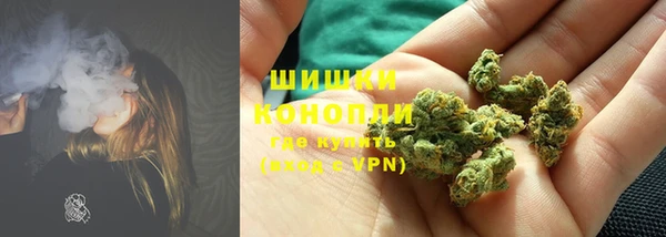 сатива Абаза