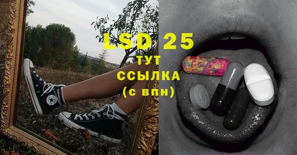 сатива Абаза