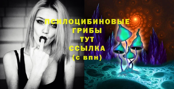 сатива Абаза
