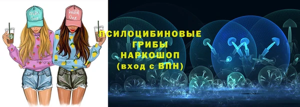 сатива Абаза